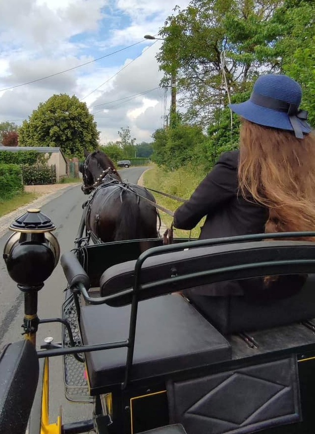 attelage dos Balades en calèche près de Bourges