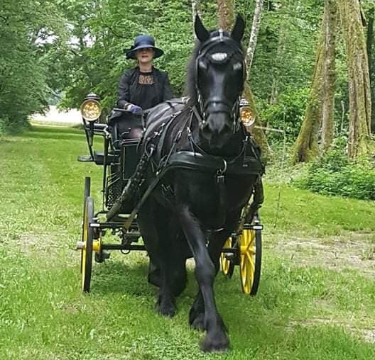 attelage mariage Balades en calèche près de Bourges