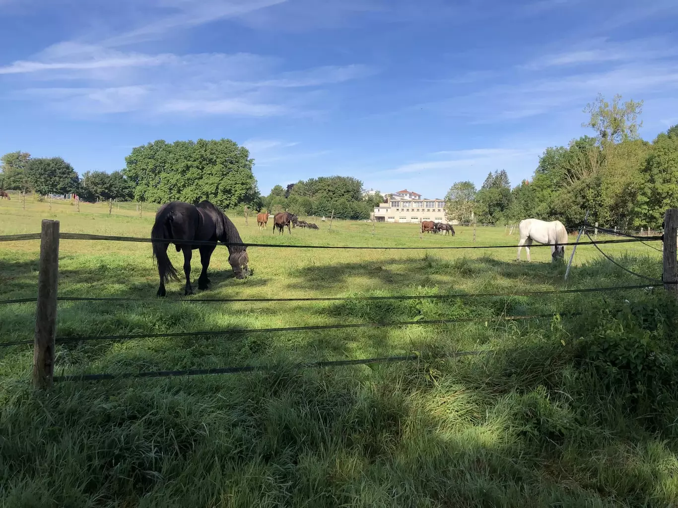 Gîte équestre et hébergement de groupe à Osmoy