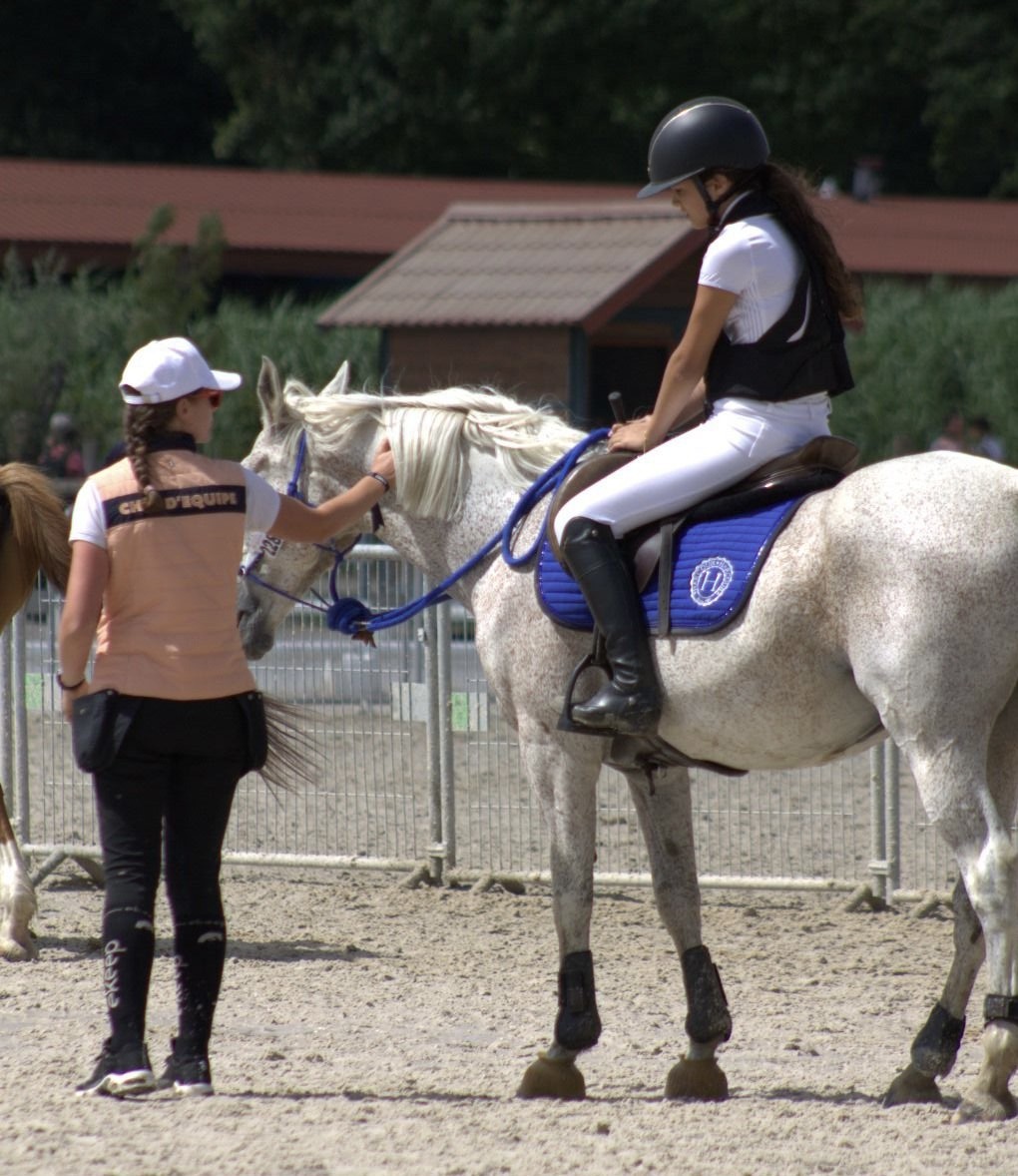 Coaching École d'équitation près de Bourges