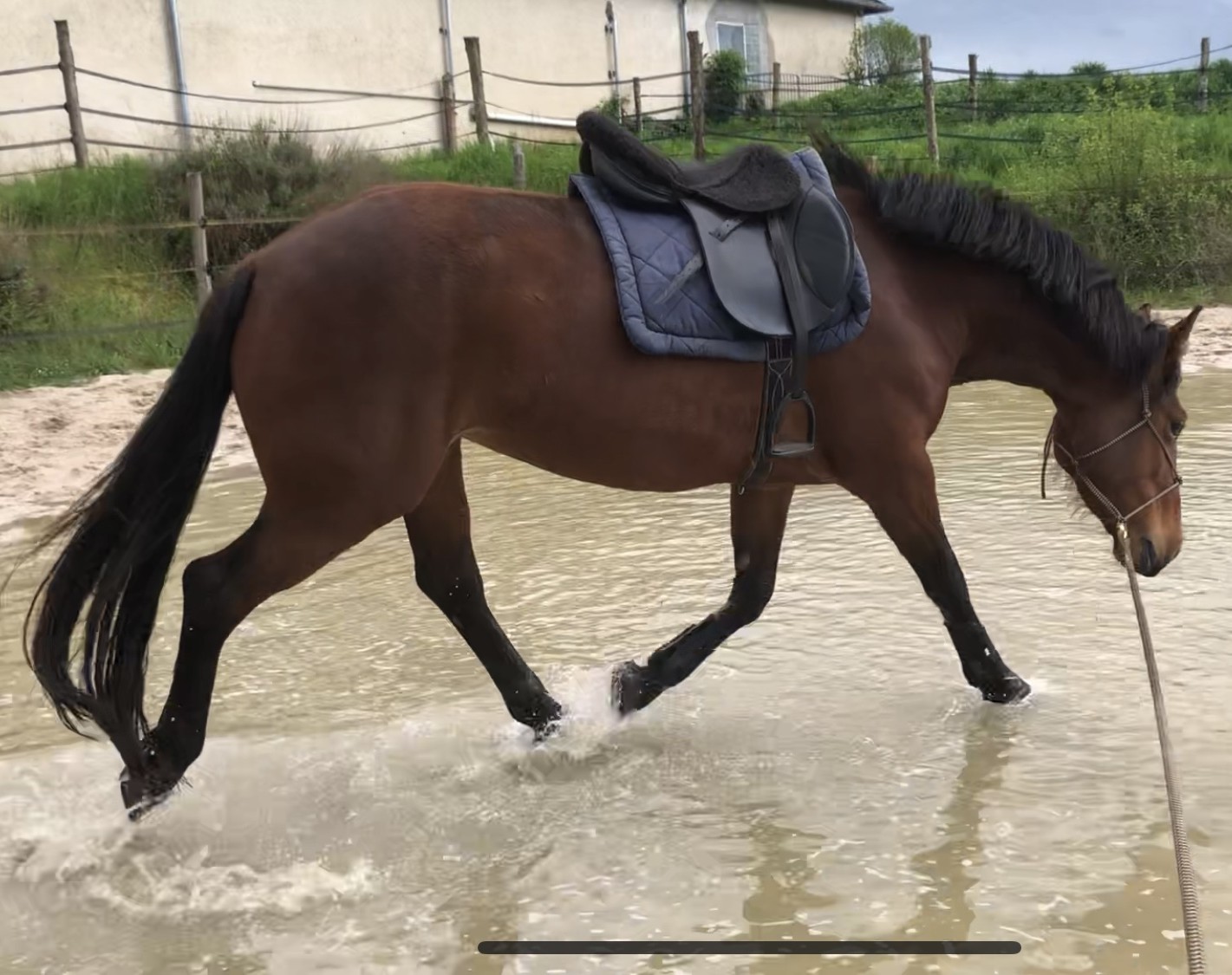 Eau Débourrage de chevaux près de Bourges