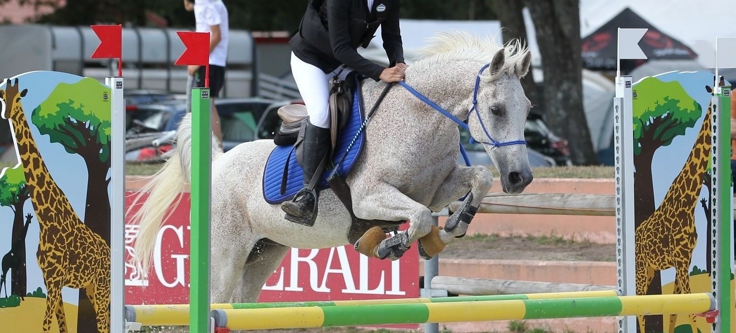 École d'équitation près de Bourges