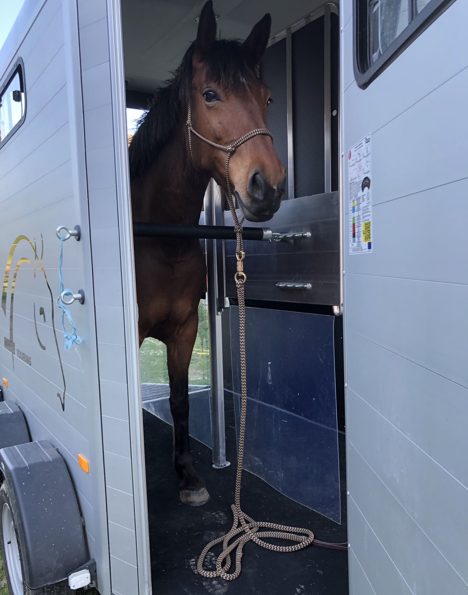 Van Débourrage de chevaux près de Bourges